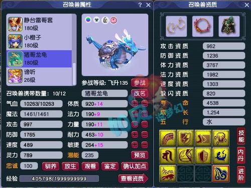 吃瓜的龙龟,揭秘神秘生物的趣味生活