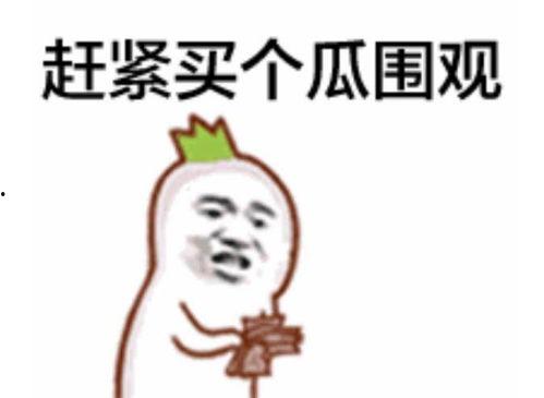 雨涵吃瓜群众,揭秘娱乐圈幕后故事