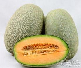 移植后哈密瓜可以吃吗,哈密瓜安全可食用!