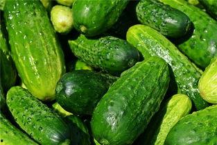 梦见摘豆吃瓜,摘豆吃瓜的奇幻之旅