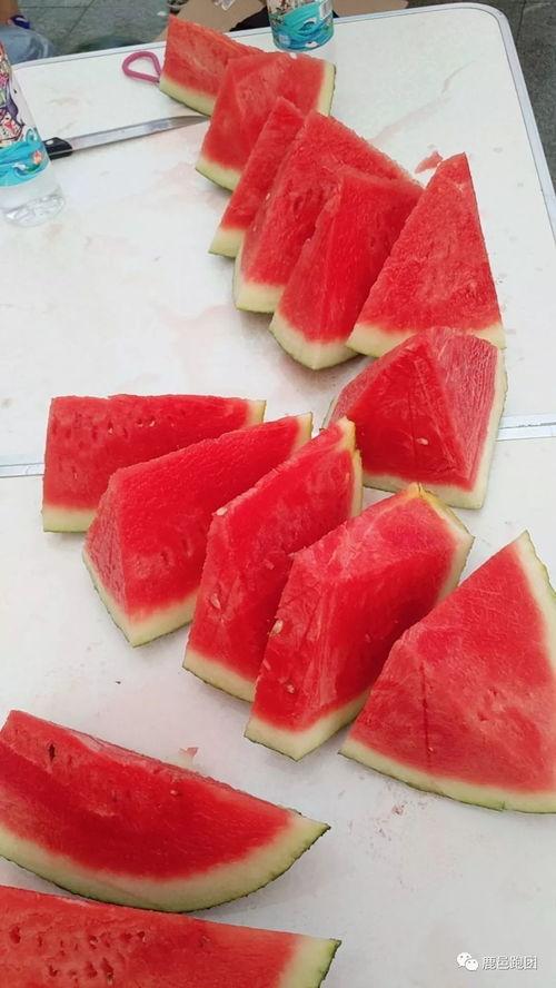 那吃瓜,那些年我们一起吃过的瓜