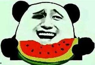 生日吃瓜,揭秘娱乐圈明星们的甜蜜“瓜”事