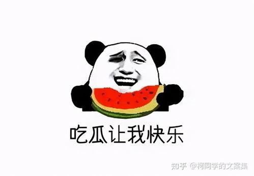 搞笑满级吃瓜文案,笑料横生!满级吃瓜达人带你领略搞笑盛宴