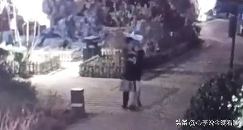 曹县吃瓜视频爆料,一场网络爆料的背后真相