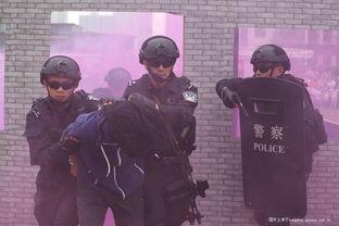 警察最新吃瓜事件,最新吃瓜事件揭秘