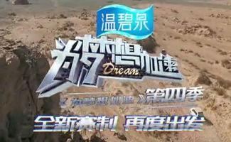 深圳卫视吃瓜群众,揭秘娱乐圈幕后故事