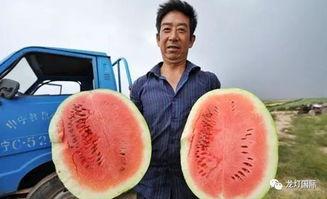 吃瓜和刷牙哪个厉害,揭秘日常习惯中的“实力对决”