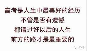 吃瓜群众追流星下一句,揭秘明星背后的故事