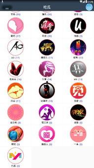 吃瓜直播内容分享,揭秘网红幕后生活