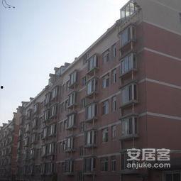 新世纪小区吃瓜